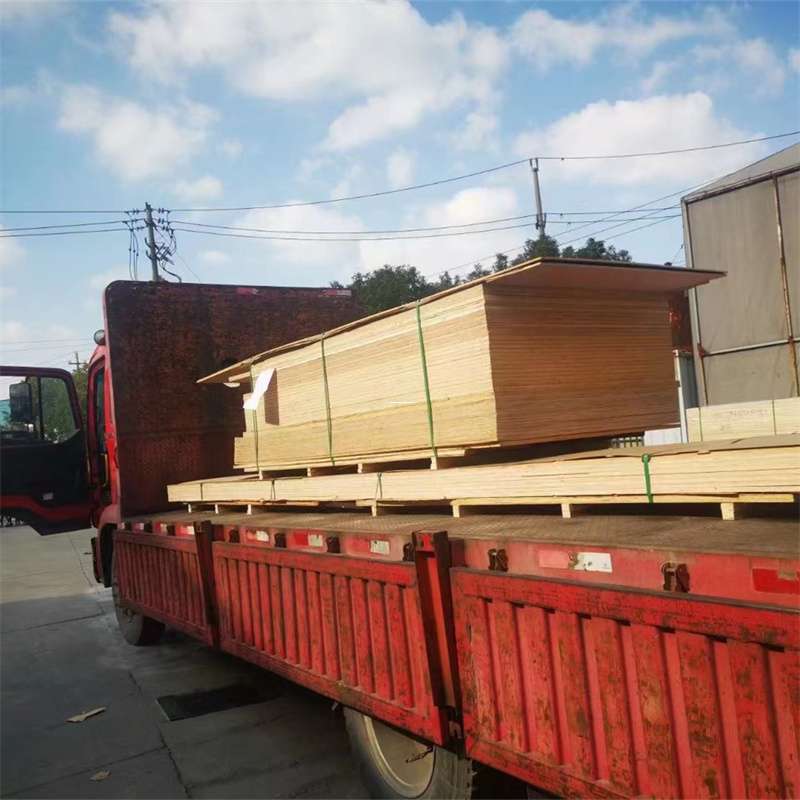 福建泉州晋江至塔城货运专线，一站式物流服务助您成功